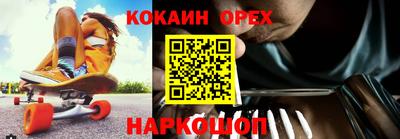 крисы Новокубанск