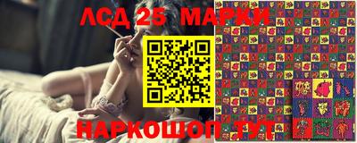 крисы Новокубанск