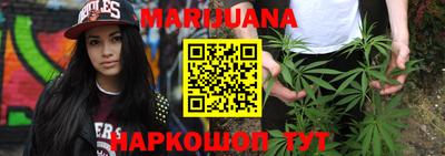 крисы Новокубанск