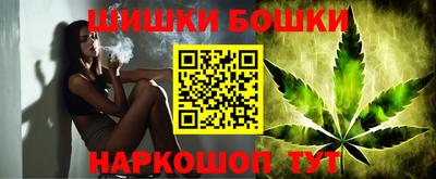 крисы Новокубанск