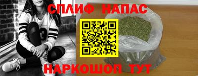 крисы Новокубанск